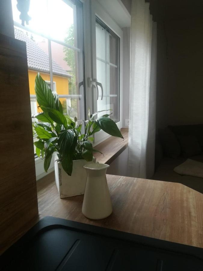 Landhaus Huchatz 布尔格 外观 照片